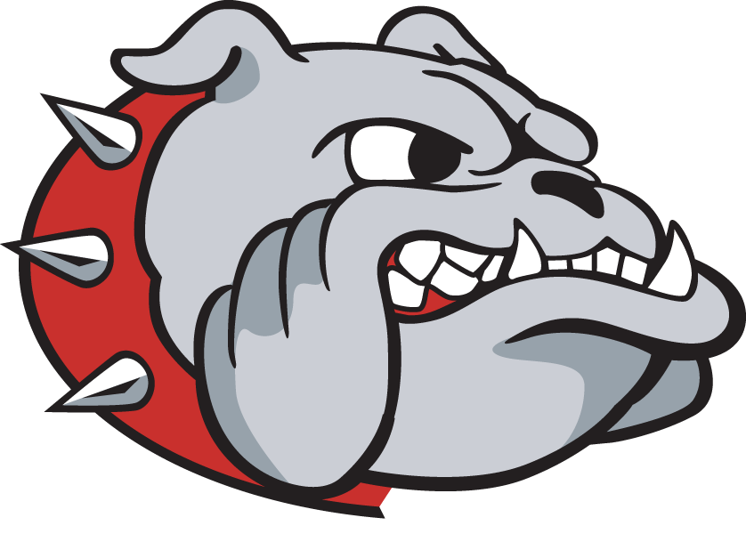 Samford Bulldogs 2000-Pres Secondary Logo diy fabric transfers
